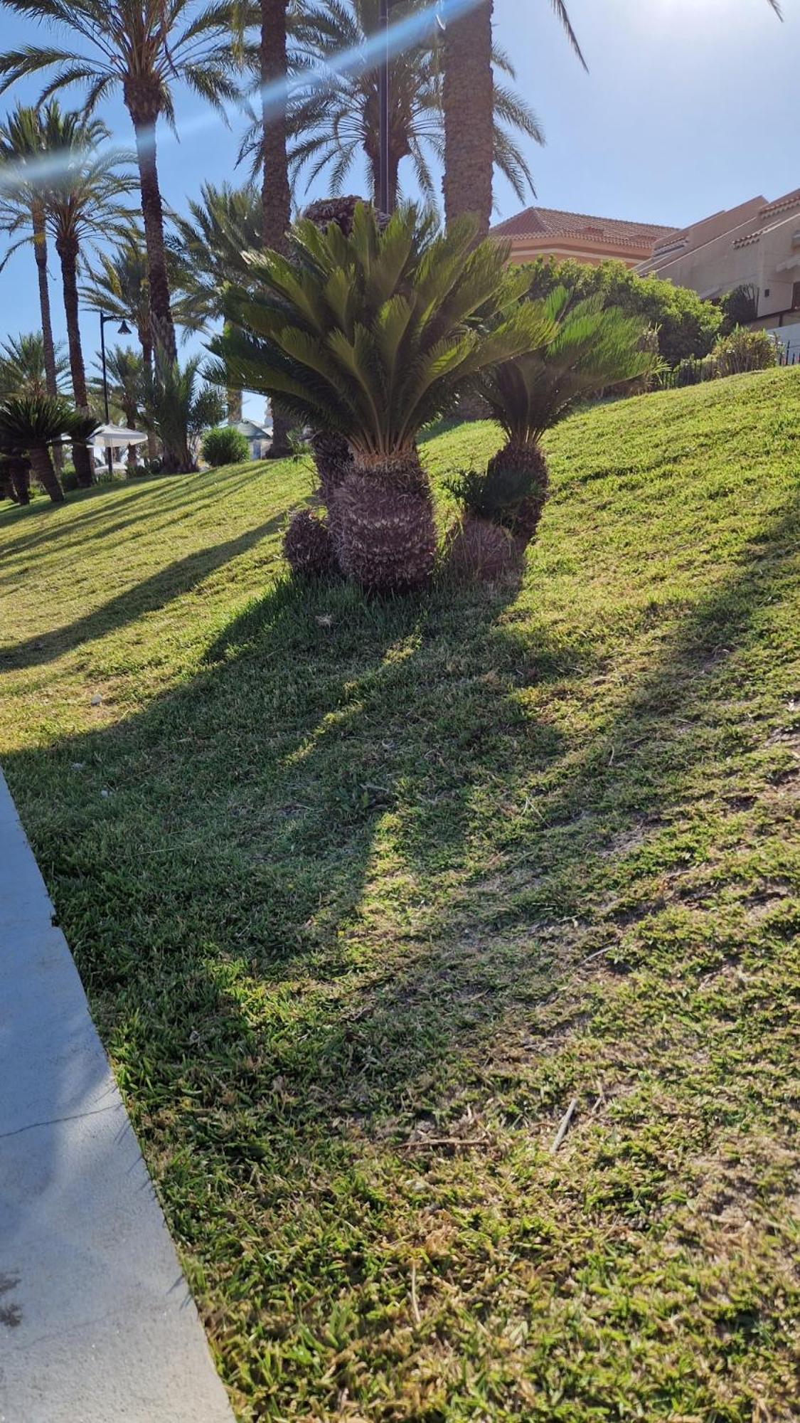 Torres Del Sol Luxury Las Americas 美洲海滩 外观 照片