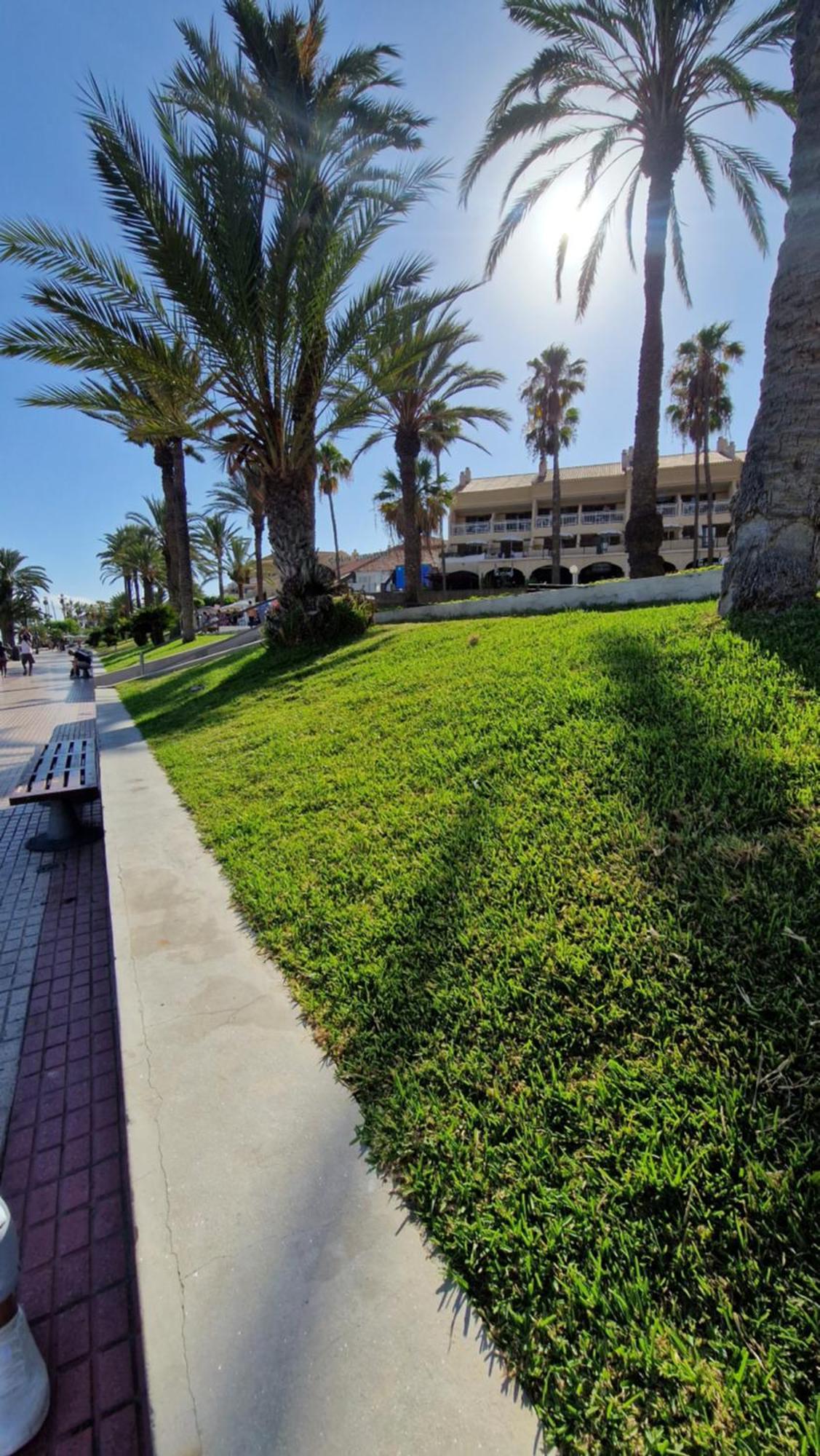 Torres Del Sol Luxury Las Americas 美洲海滩 外观 照片